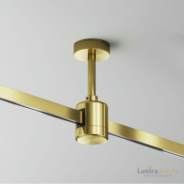 Крепление потолочное Short прямым коннектором питания Maytoni Flarity TRA156C-IPC1-BS