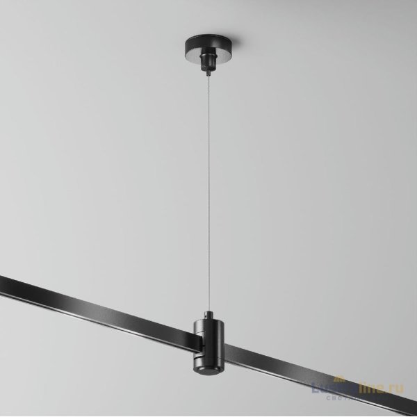Подвес тросовый одинарный Maytoni Flarity TRA157SW-S1-B Подвес тросовый одинарный Maytoni Flarity TRA157SW-S1-B