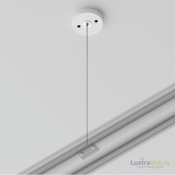 Подвесной комплект Maytoni Track TRA001CW-11W