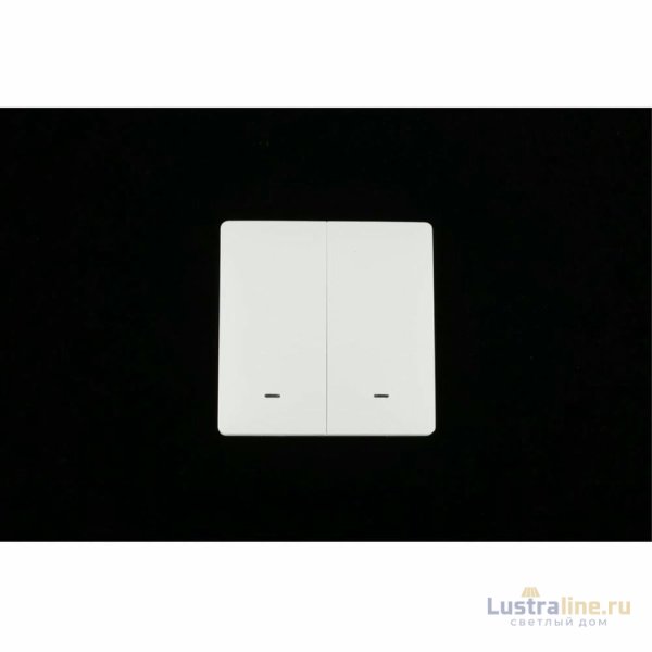 Выключатель двухклавишный Aployt Magnetic track 220 APL.0190.00.02