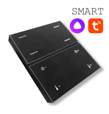 Панель управления для трековой системы EKS Colibri Smart 0У-00002100