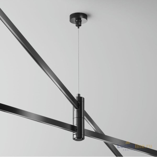 Подвес тросовый двойной Maytoni Flarity TRA157SW-D1-B