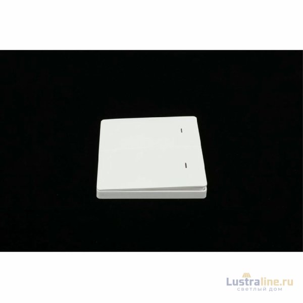 Выключатель двухклавишный Aployt Magnetic track 220 APL.0190.00.02