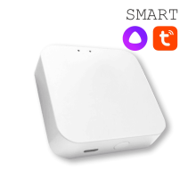 Конвертер WI-FI для трековой системы EKS Colibri Smart 0У-00002005