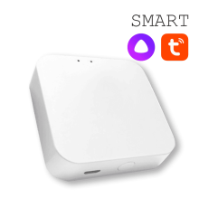 Конвертер WI-FI для трековой системы EKS Colibri Smart 0У-00002005
