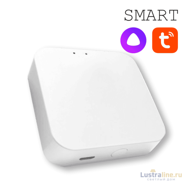 Конвертер WI-FI для трековой системы EKS Colibri Smart 0У-00002005