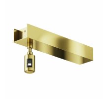 Основание потолочное Short для блока питания с вводом питания Maytoni Flarity TRA156C-BB1-BS