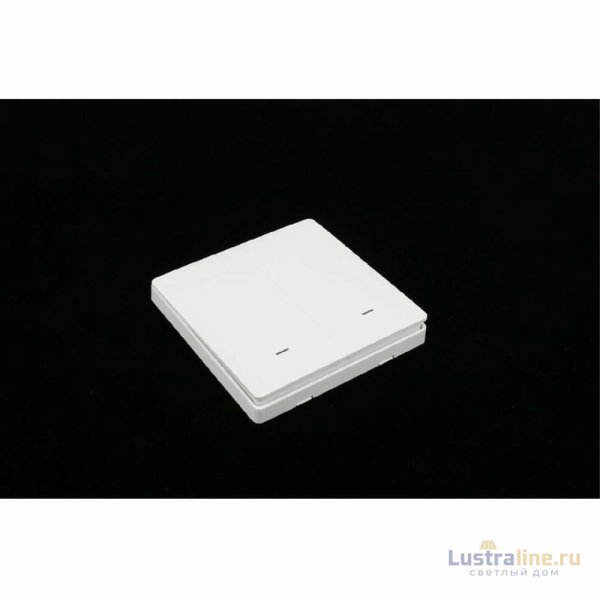 Выключатель двухклавишный Aployt Magnetic track 220 APL.0190.00.02
