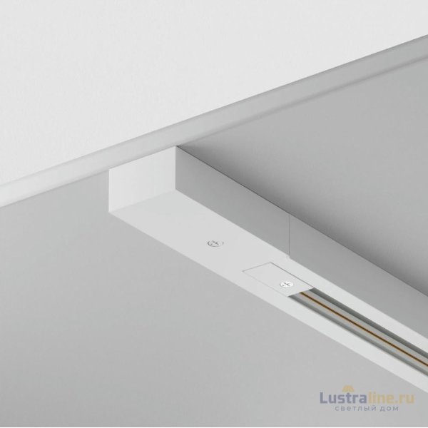 Шинопровод однофазный Maytoni Technical Busbar trunkings TRX001-113W Шинопровод однофазный Maytoni Technical Busbar trunkings TRX001-113W