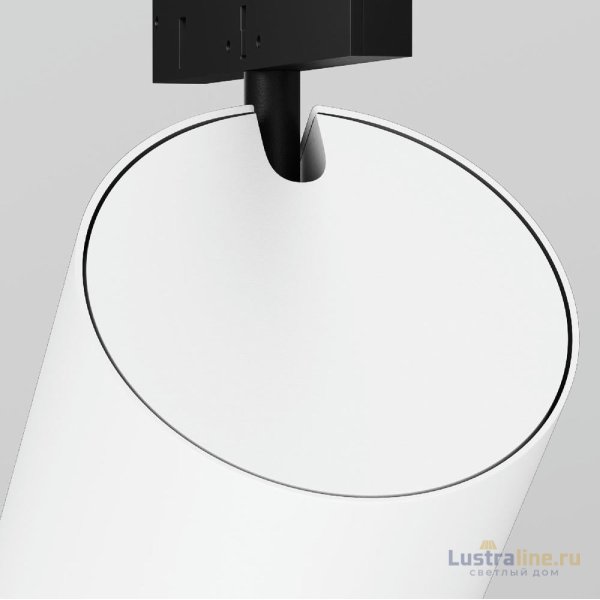 Трековый магнитный светильник Maytoni Focus Led TR187-1-9W2.7K-M-BW