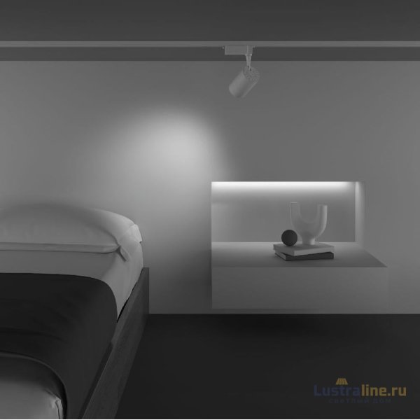 Трековый светильник Maytoni Technical Vuoro TR003-1-10W3K-M-W