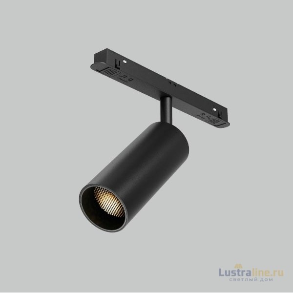 Трековый магнитный светильник Maytoni Focus Led TR032-2-12W2.7K-M-B