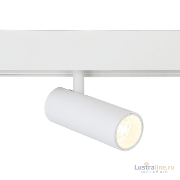 Трековый светильник Ambrella Light Track System GL3819