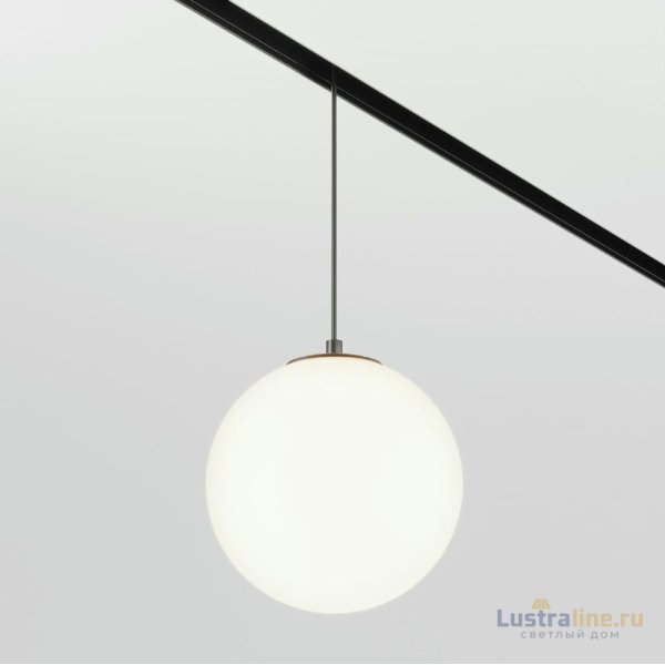 Трековый подвесной светильник Maytoni Luna TR039-2-5W4K