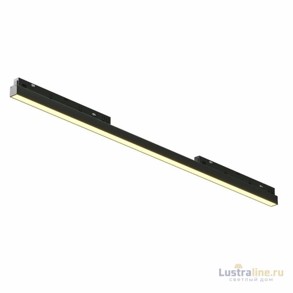 Трековый магнитный светильник Maytoni Basis TR030-2-30W2.7K-B