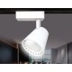 Трековый однофазный светильник Ambrella Light Track System GL5975