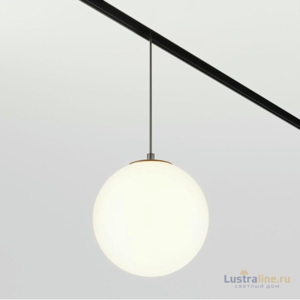 Трековый подвесной светильник Maytoni Luna TR039-2-5W3K