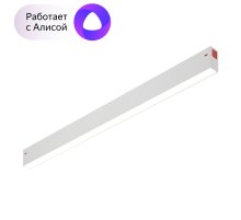 Трековый светильник Denkirs Smart DK8005-WH