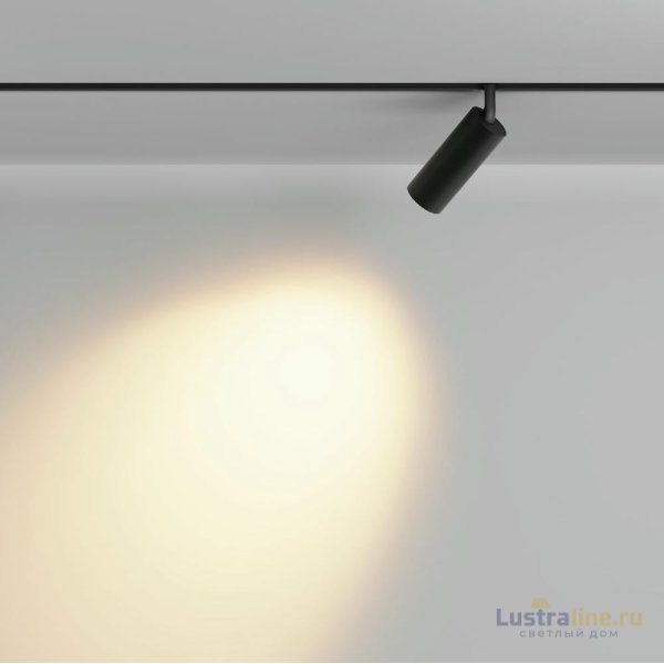 Трековый магнитный светильник Maytoni Focus Led TR032-2-12W2.7K-M-B