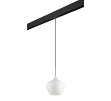 Трековый светильник Lightstar Pentola PRO803040 (803040+595007)