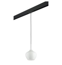Трековый светильник Lightstar Pentola PRO803040 (803040+595007)