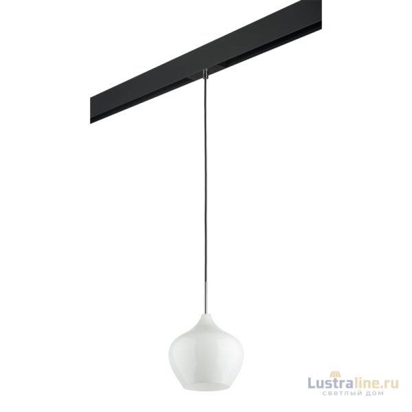 Трековый светильник Lightstar Pentola PRO803040 (803040+595007)