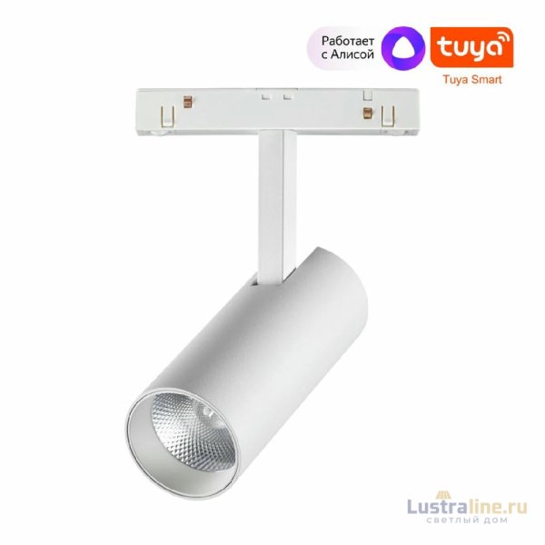 Трековый светильник Novotech Flum 359495