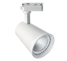 Трековый светильник Feron AL100 41607