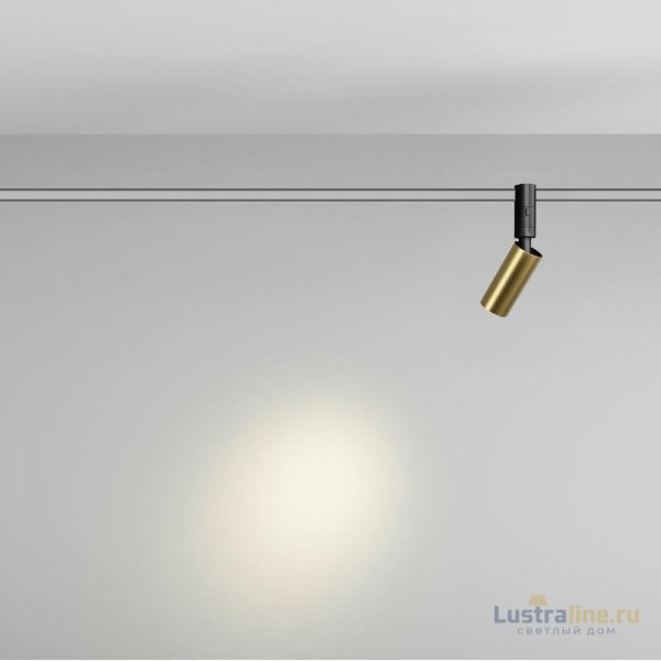 Трековый магнитный светильник Maytoni Focus Led TR201-1-5W3K-M-BBS