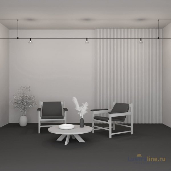 Трековый магнитный светильник Maytoni Biancа TR206-1-3W3K-B