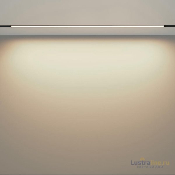 Трековый магнитный светильник Maytoni Basis TR030-2-30W3K-B Трековый магнитный светильник Maytoni Basis TR030-2-30W3K-B