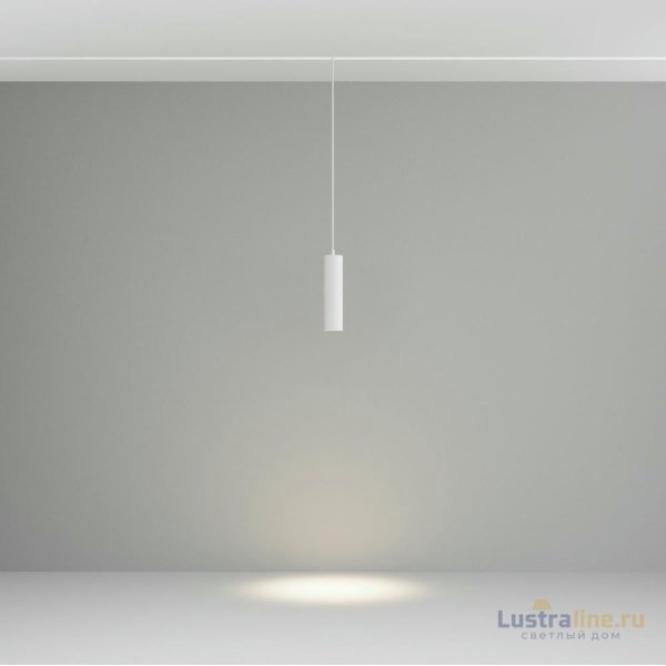 Трековый подвесной магнитный светильник Maytoni Focus LED TR041-2-12W4K-W