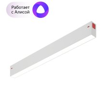 Трековый светильник Denkirs Smart DK8004-WH