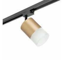 Трековый однофазный светильник Lightstar Rullo (213490+592087+202481) R1T349081
