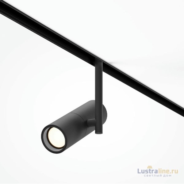 Трековый магнитный светильник Maytoni Elti TR005-4-12W-DS-B