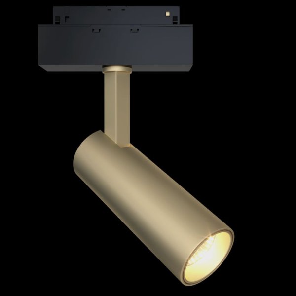 Трековый светильник Maytoni Focus LED TR019-2-10W4K-MG
