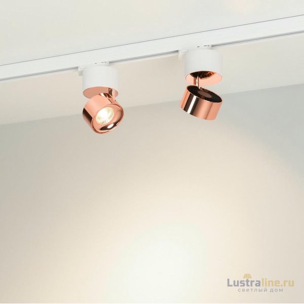 Трековый трехфазный светильник Arlight SP-PLURIO-TRACK-4TR-R77-9W Day4000 038102