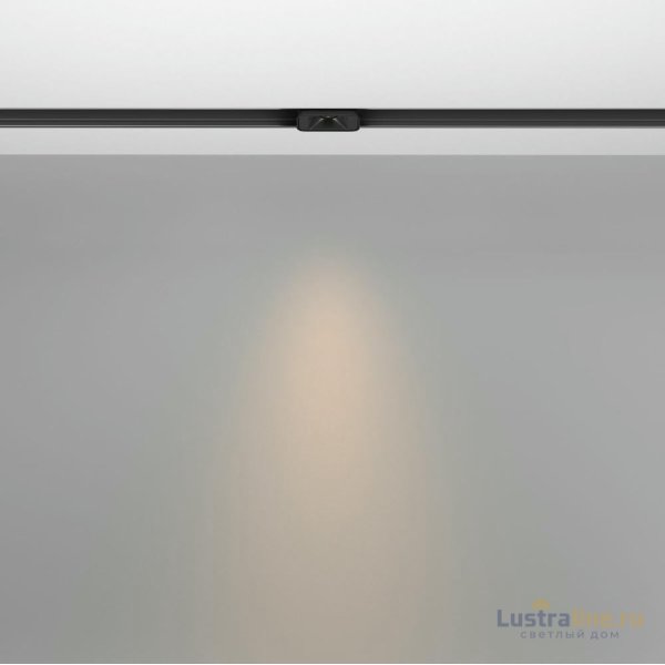 Трековый магнитный светильник Maytoni Points S TR100-2-2W3K-S-B