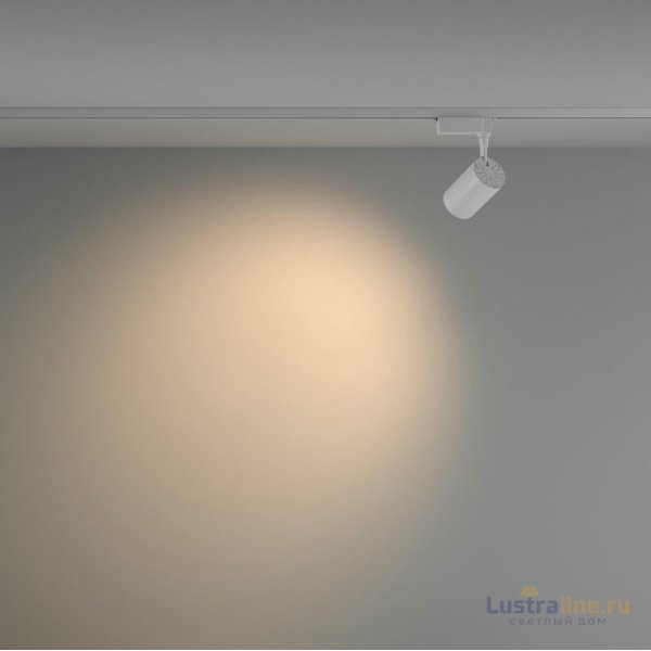 Трековый светильник Maytoni Technical Vuoro TR003-1-10W3K-W-W Трековый светильник Maytoni Technical Vuoro TR003-1-10W3K-W-W