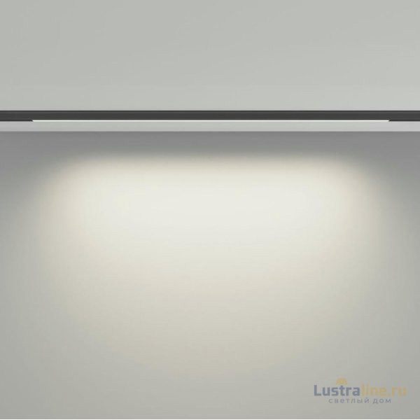 Трековый магнитный светильник Maytoni Basis TR190-1-10W4K-B