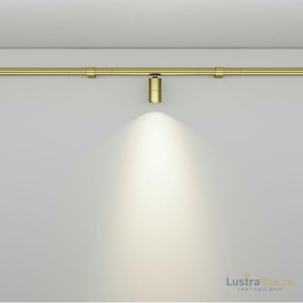 Трековый светильник Maytoni Focus LED C103CL-5W3-6K-BS