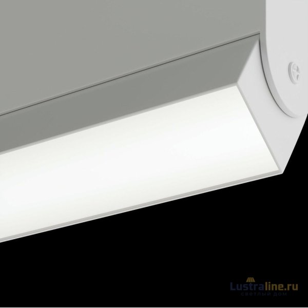 Трековый светильник Maytoni Technical BASIS TR013-2-10W3K-W