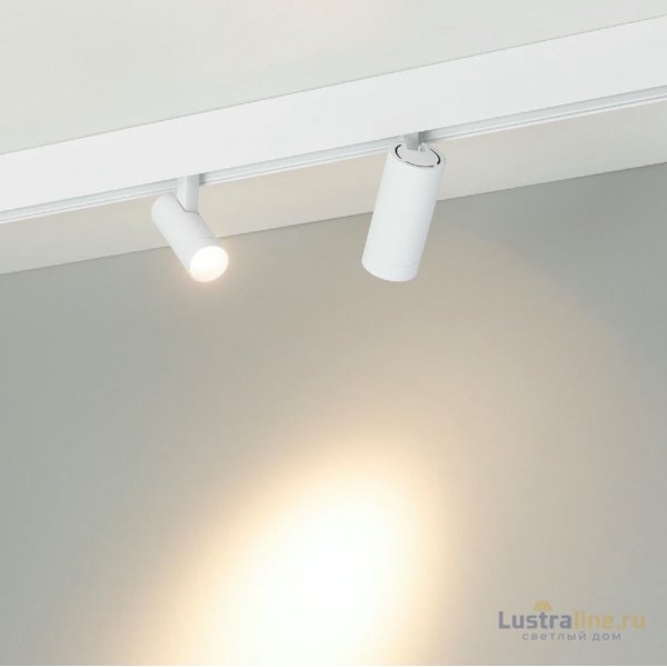 Трековый магнитный светильник Arlight MAG-ORIENT-SPOT-R45-9W Warm2700 051745