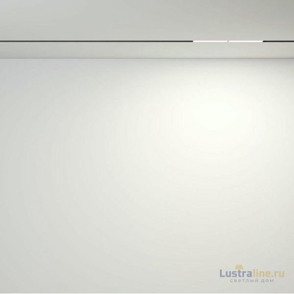 Трековый магнитный светильник Maytoni Parete TR106-4-12W-DS-B