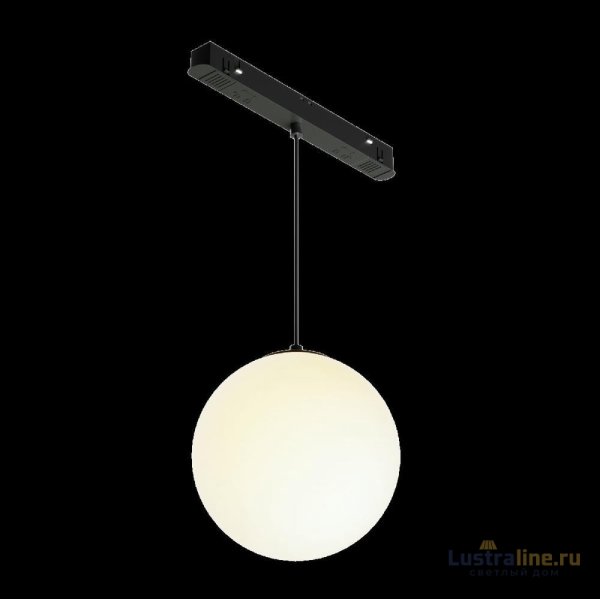Трековый подвесной светильник Maytoni Luna TR039-2-5W3K