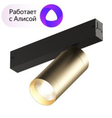 Трековый светильник Denkirs Smart Spot DK8020-BG