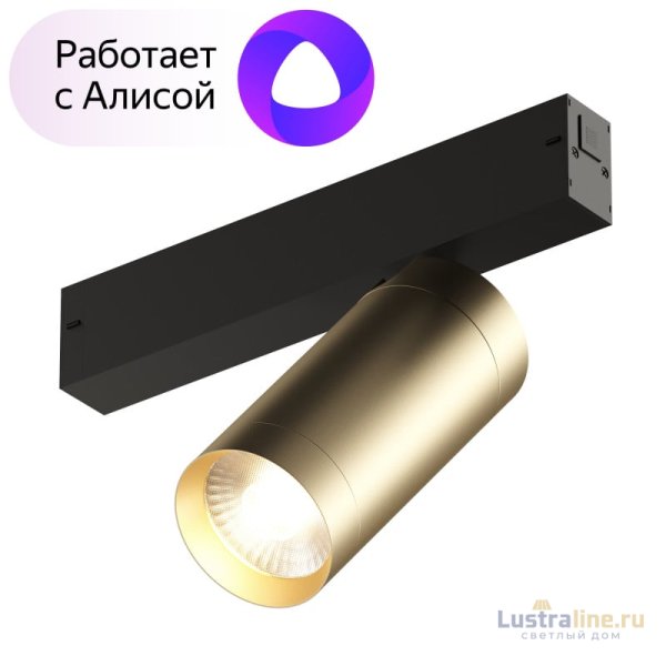 Трековый светильник Denkirs Smart Spot DK8020-BG Трековый светильник Denkirs Smart Spot DK8020-BG
