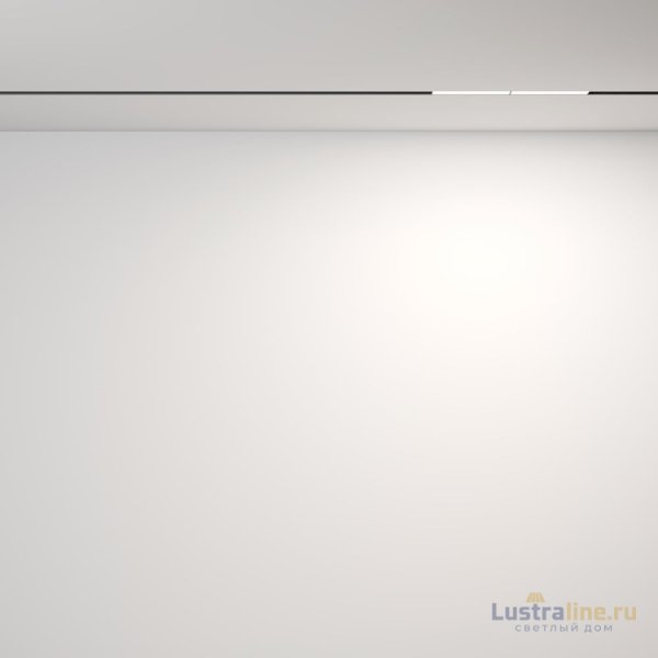 Трековый магнитный светильник Maytoni Technical Magnetic track system Exility Parete TR106-2-12W4K-B Трековый магнитный светильник Maytoni Technical Magnetic track system Exility Parete TR106-2-12W4K-B