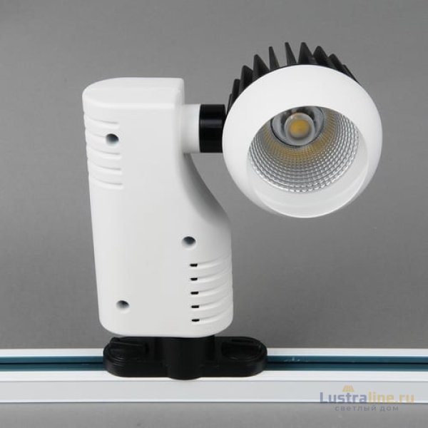 Трековый двухфазный светильник Elvan ST-PJ-021-20-NH