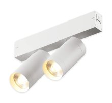 Трековый однофазный светильник AM Group AM528 WH-220V-2X10W SMART